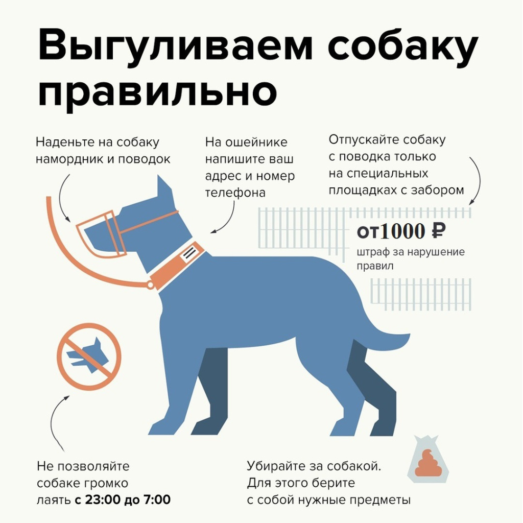 Выгул 2.jpeg Выгул 2.jpeg