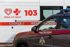 На востоке столицы сотрудники вневедомственной охраны Главного управления Росгвардии по городу Москве пресекли попытку пронести крупную партию наркотических веществ в медицинское учреждение