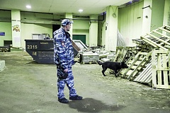 Сотрудники ЦКС УВД по ЮВАО приняли участие в масштабных кинологических учениях