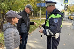 Сотрудники Госавтоинспекции Юго-Восточного округа провели информационно-профилактическую акцию «Пожилой пешеход»